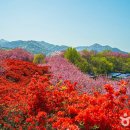 완산도서관 화장실 Daum카페