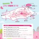 뚜벅이 모녀(초보) 고려산 진달래 구경 후기(마을회관-청련사-고려산 정상 원점 회귀 코스)_24.04.10