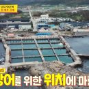 포항집 - 남동구 문화서로4번길 61-8 | 포항집