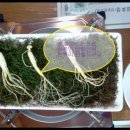 산삼마루한 | [양산맛집]산삼마루한 블로그 이벤트/양산 통도사 맛집 산삼마루한