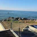 오션블리스 1 이미지