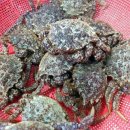 22번수산 이미지