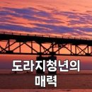 좋은차만들기 | 도라지청년 생강차 효능 만들기 후기 특가