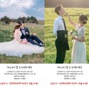 원모정농장 | 제주가족스냅 돌아기랑 차노다스냅 사진 후기