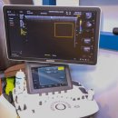 현 동물병원 이미지