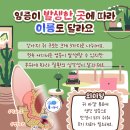 블루베어동물병원 이미지