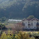 수락힐스테이펜션 이미지