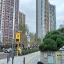 용인대 석사 스타태권도장 이미지