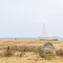 호랑호랑 | 제주 성산일출봉 펜션 오션뷰 최고였던 호랑호랑펜션 후기