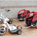 셰프라인 월드 이미지