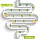 ZERO100PC 우만점 | [데이즈온 알파CD 탱글젤리] 맛있는 이너케어와 식단관리를 동시에!?