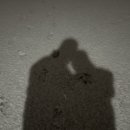 빨간불닭발 이미지