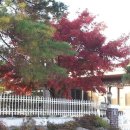 모화1리 이미지