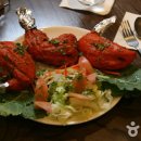 타지펠리스 이미지