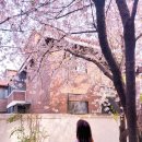 송정3길 34 이미지