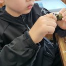 사랑리해녀할매집 이미지