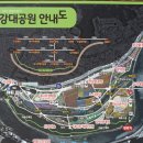 울산 십리대숲(2) / 울산 부산여행(2) | 이미지