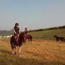 악양 승마장 이미지