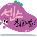 젤기획 이미지