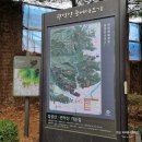 간촌약수터 화장실 | 삼성산 등산 코스 (삼막사 - 염불암 - 안양예술공원)