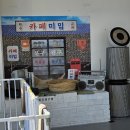 [일상기록] 🐶하랑이랑 다녀온 수원 애견카페 ‘카페미밈’ 솔직 후기