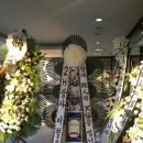 (주)신제주국제여행사 이미지