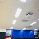 월드타이거즈 이미지