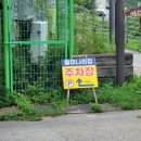 남양주 맛집 / 돌미나리집 미나리전 비빔국수 잔치국수 후기