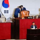 [사설] 법안 강행과 거부권, 무한 반복되는 &#39;바보들의 행진&#39; 이미지