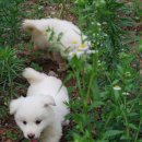 온달마루 이미지