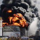 울산동물영상센터 이미지