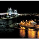 팔레드시즈 이미지