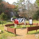 에코목장 이미지