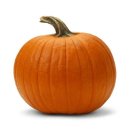 호박(Pumpkin & Squash): 펌킨(Pumpkin)과 스쿼시(Squash)