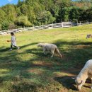 채운목장 이미지