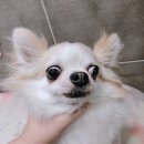 문수동물병원 이미지