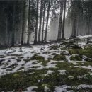 화랑약국 이미지