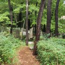 2016146 | 25주차 임산부의 동네 뒷산 등산 | 부산 승학산 정상 &amp; 억새밭