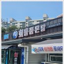 회를품은닭