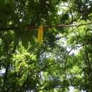 도룡마을 이미지