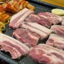 배부른고릴라