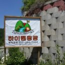 하이캠핑장 이미지