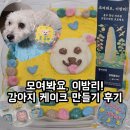 모여 | [리뷰/펫푸드만들기] 강아지 케이크 만들기 후기_모여봐요, 이밤리!/문해담 펫푸드 아카데미