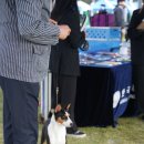 오픈주 하남스타필드점 이미지