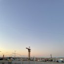 기적수산 | 가볼만한 곳] 제철 왕가리비&amp;주꾸미, 무창포수산물시장 서해수산 내돈내산 솔직후기!(비체펠리스 인근)