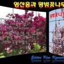 완산-115 이미지