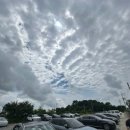 더라두카페 이미지