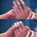 삼겹세상 이미지