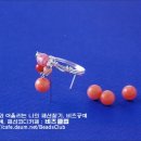 심플 산호 반지 이미지