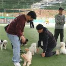 애견운동공원(하절기) 웹이코노미